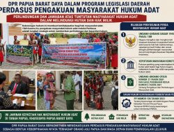 Senator ARK Dorong DPR Papua Barat Daya Prioritaskan PERDASUS Masyarakat Hukum Adat