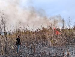 Kebakaran Hutan dan Lahan Terjadi di Distrik Tomage, Polsek Bomberay Lakukan Penanganan Cepat