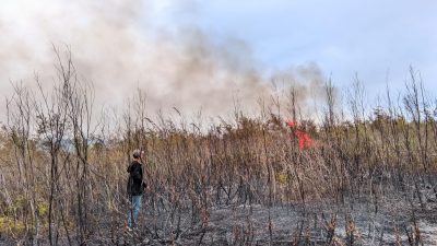 Kebakaran Hutan dan Lahan Terjadi di Distrik Tomage, Polsek Bomberay Lakukan Penanganan Cepat