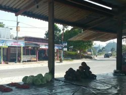 Ratusan Pasar Kampung Mangkrak, Pedagang Lokal Maybrat Desak Pemerintah Berikan Perhatian